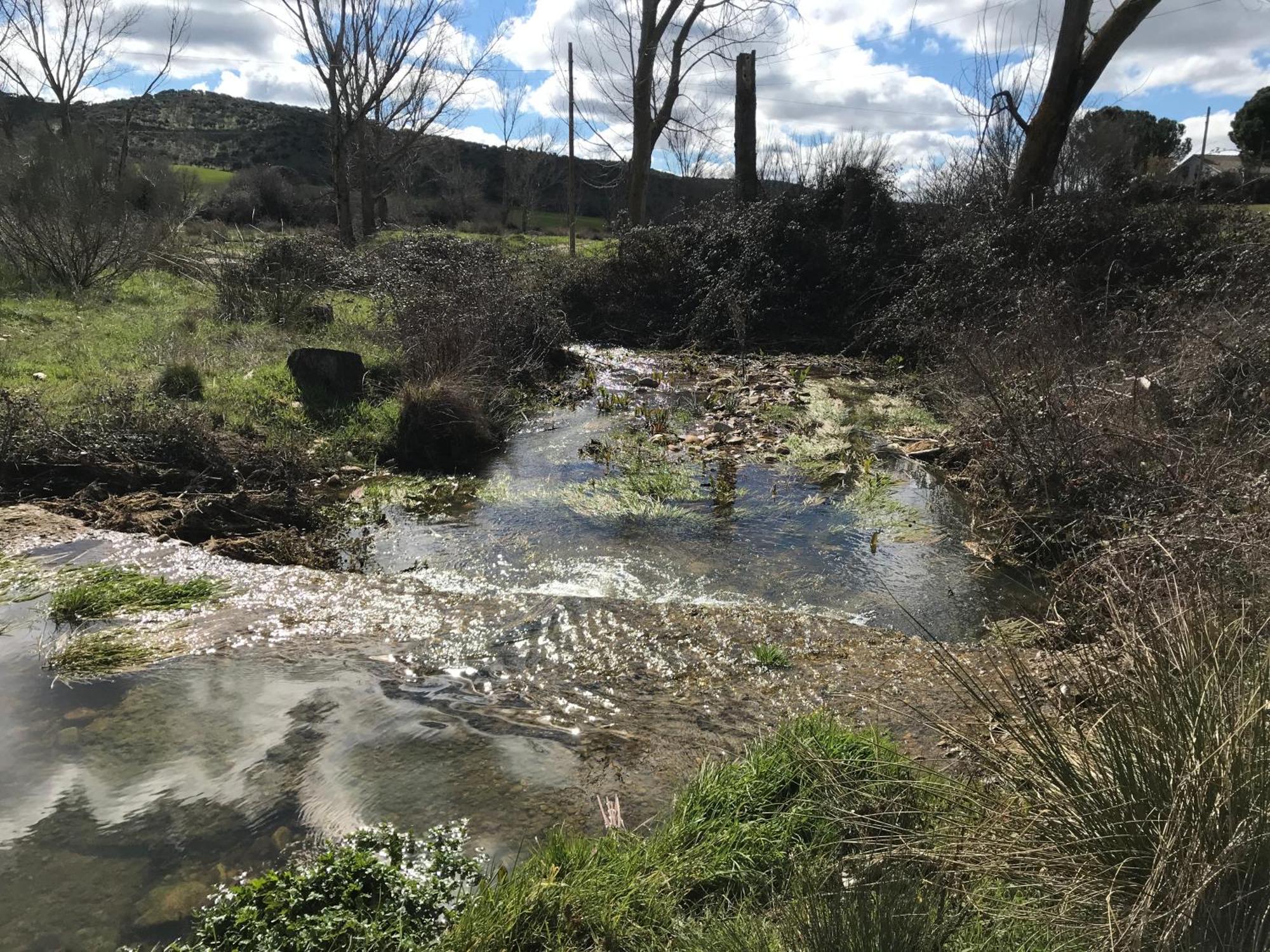 Los Cipreses De Mesones Mesones  Luaran gambar